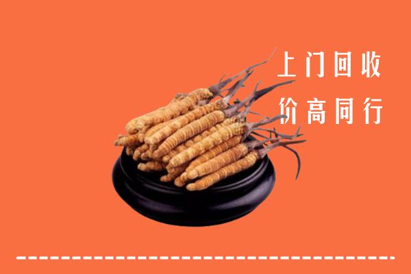高价求购：青岛市回收散虫草